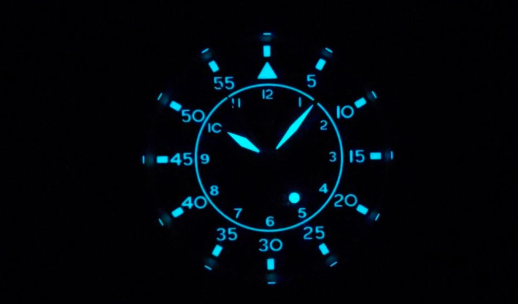 Berny T2566MS - lume shot