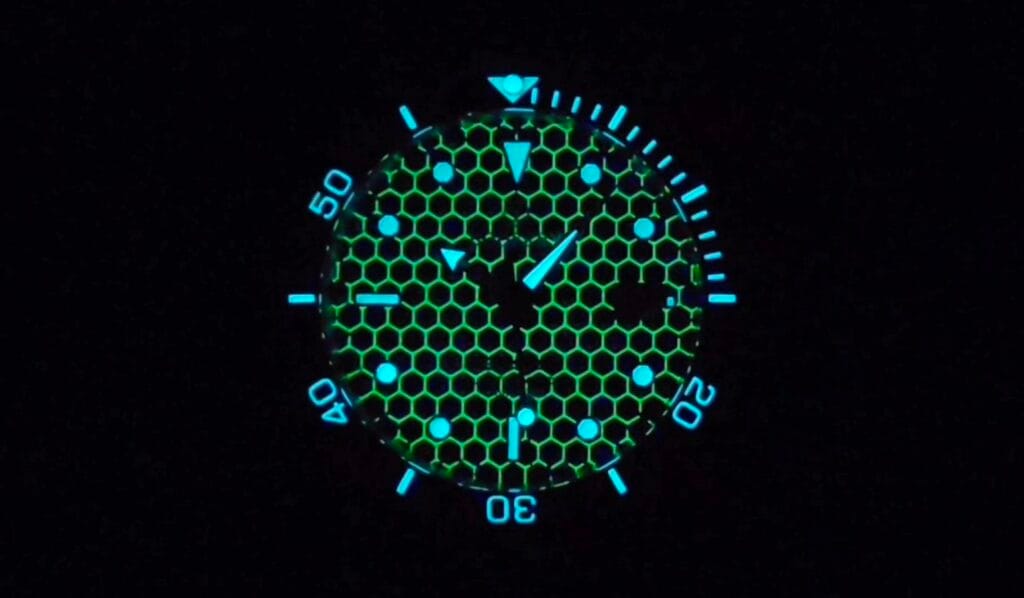 Boderry Seaturtle Titanium Watch -