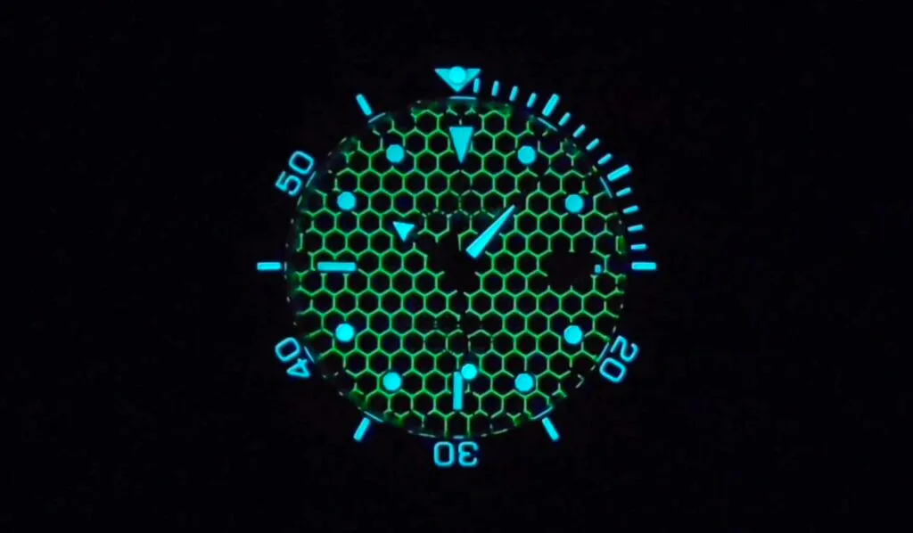 Boderry Seaturtle Titanium Watch -