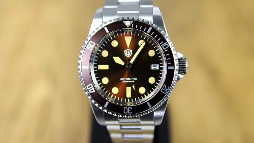 Watchdives WD5513 Watch Review - sword hands