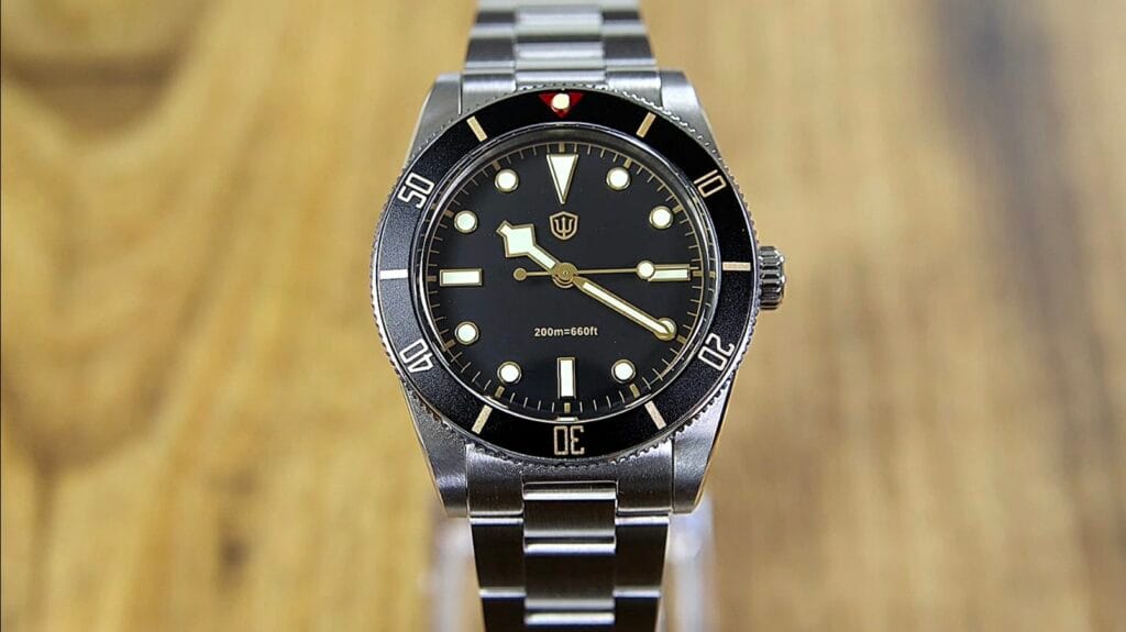 Watchdives WD7922 Watch Review - diver watch