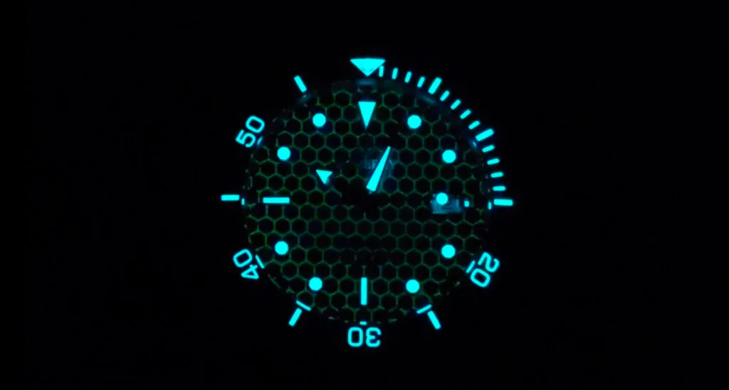 Boderry Seaturtle Titanium Watch -