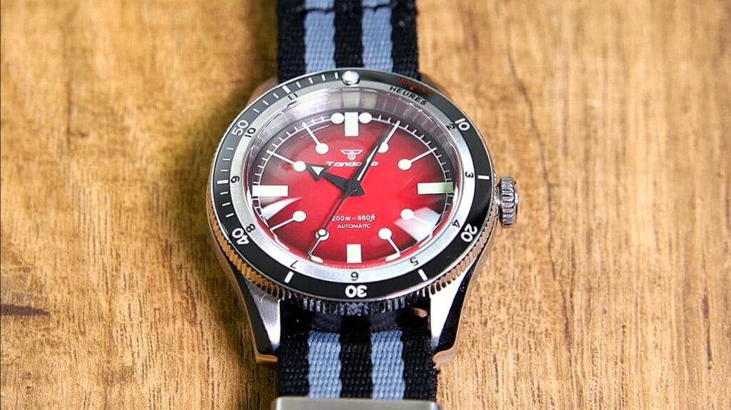 Tandorio Serica Homage Watch Review - Timed Reviews