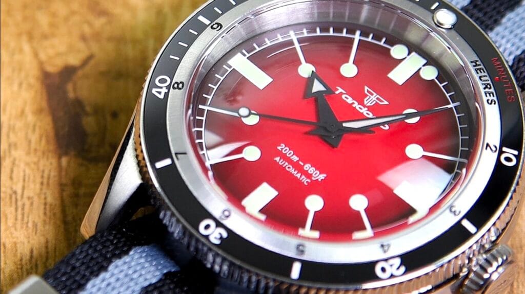 Tandorio Serica Homage Watch Review - Timed Reviews