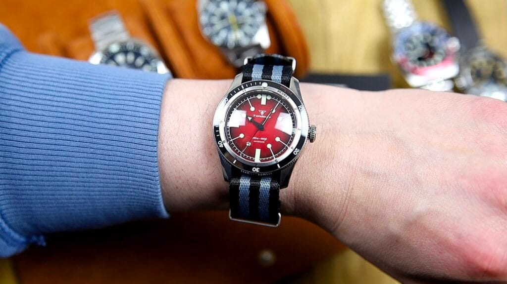 Tandorio Serica Homage Watch Review - Timed Reviews