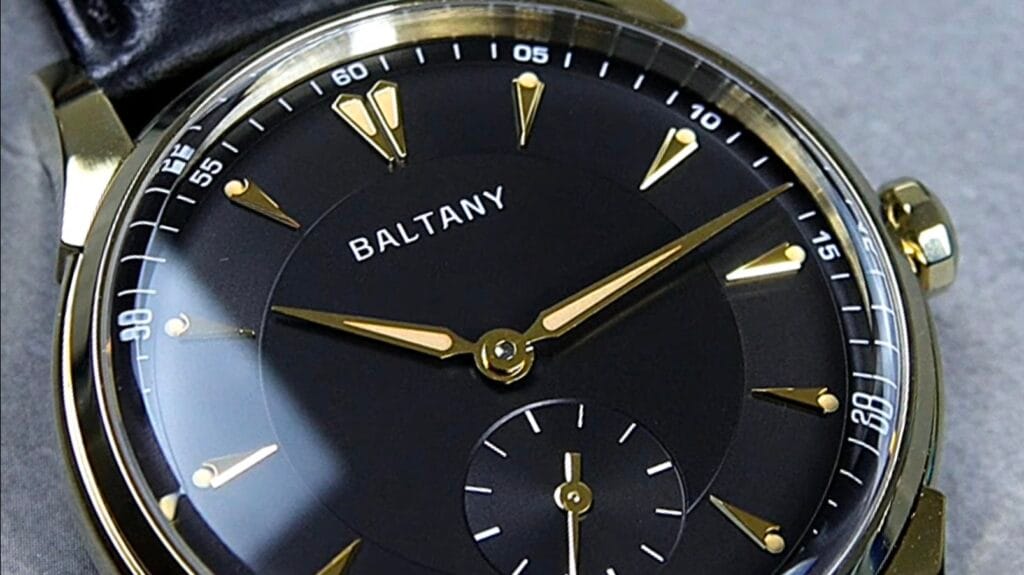 Baltany S4101 Watch Review - Timed Reviews