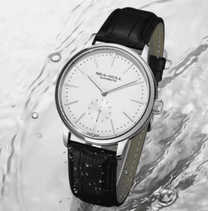 Seagull 6075 Review - Timed Reviews