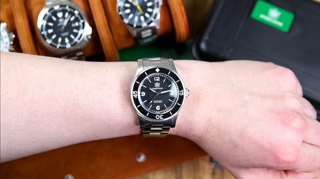 Steeldive SD1952 Watch Review - Timed Reviews