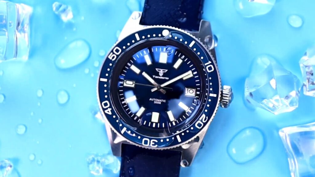 Tandorio 62MAS Homage Watch Review - Timed Reviews
