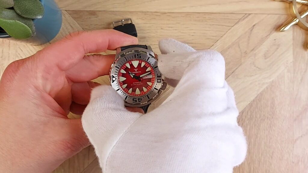 Tandorio Monster Homage Watch Review - Timed Reviews